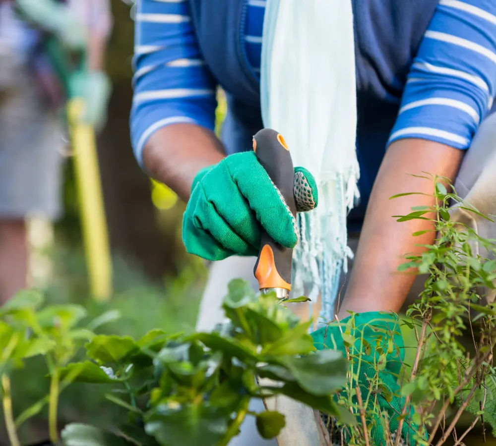 Gartenbau Firma in Augsburg für Rollrasen verlegen lassen und Gartenarbeiten
